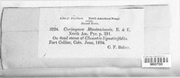 Image Associated With the Occurence